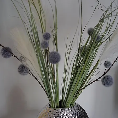 Appartamento Ruheoase Mitten In Der Stadt *