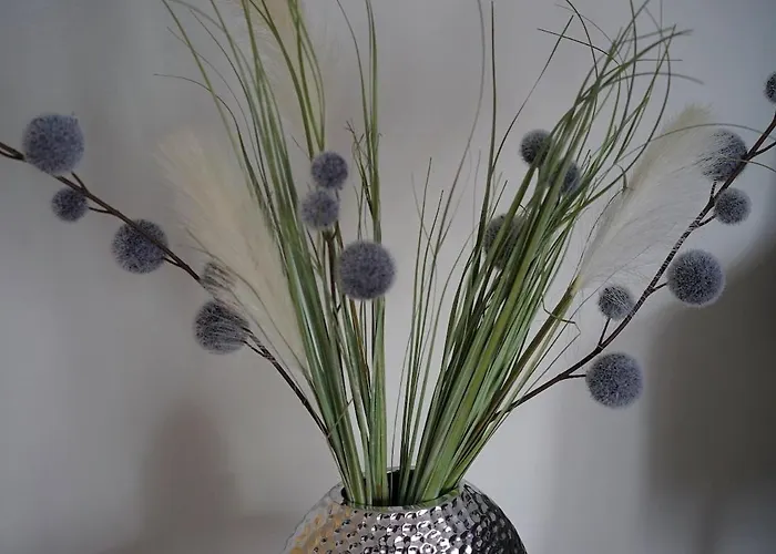 Appartamento Ruheoase Mitten In Der Stadt *